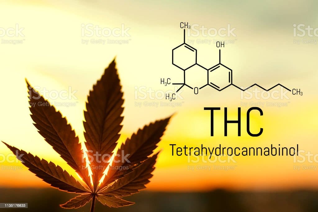 Medical chemical formula hemp THC. Molecular structure marijuana tetrahydrocannabinol. Medical cannabis is used in Ayurveda